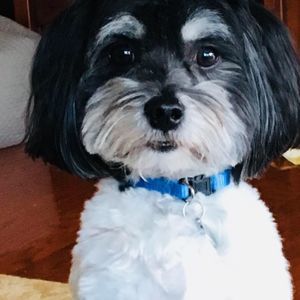 Meet your Posher, Jeanne